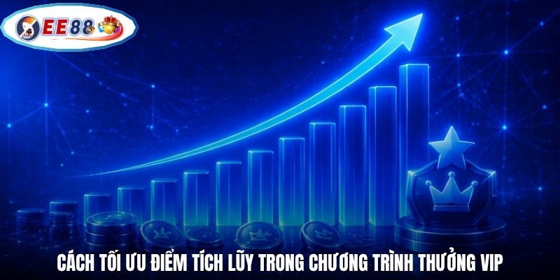 Cách tối ưu điểm tích lũy trong chương trình thưởng VIP