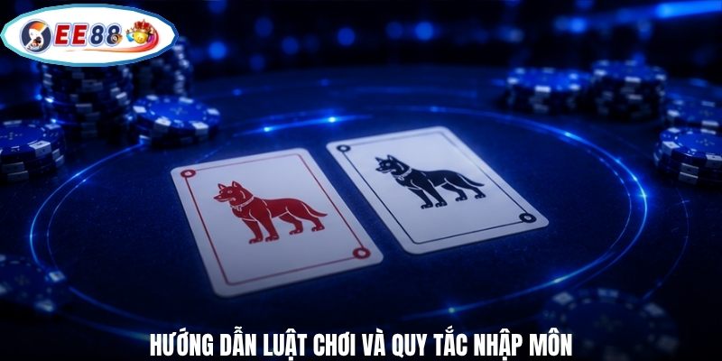 Hướng dẫn luật chơi và quy tắc nhập môn